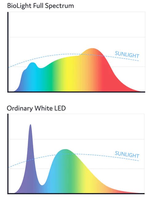 Day+Night Multi Mode Light My Store