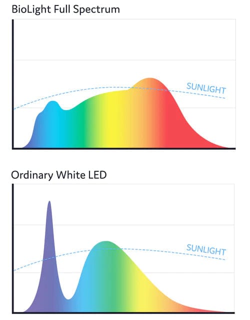 Day+Night Multi Mode Light My Store 